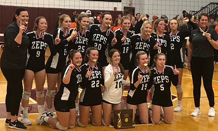 2021 Shenandoah Volleyball D4 District Champions